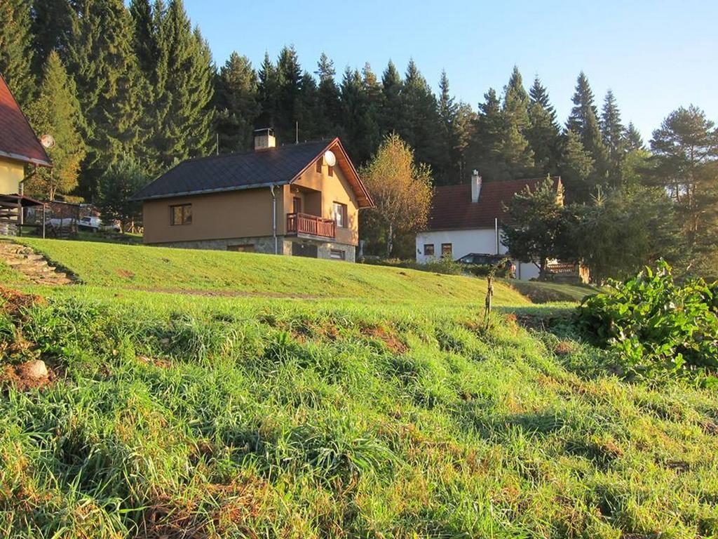 Chata Ostruzina 10+2 Lipno nad Vltavou Exteriér fotografie