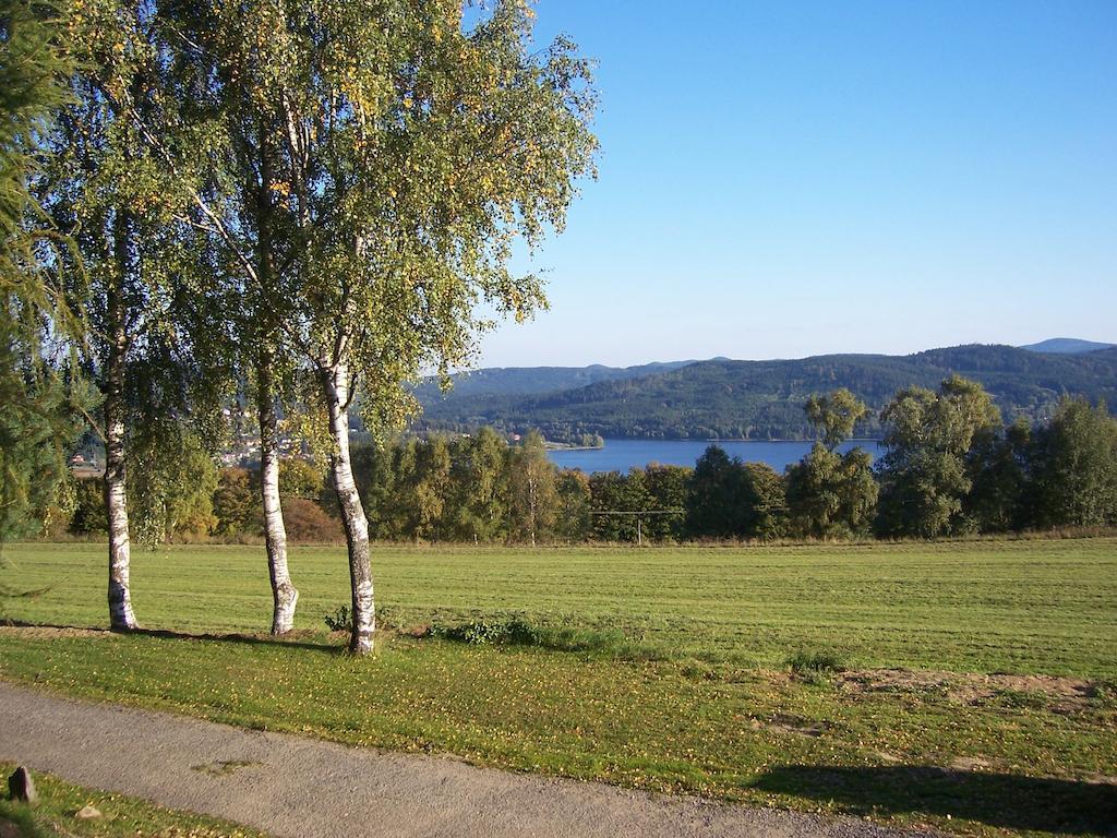 Chata Ostruzina 10+2 Lipno nad Vltavou Exteriér fotografie